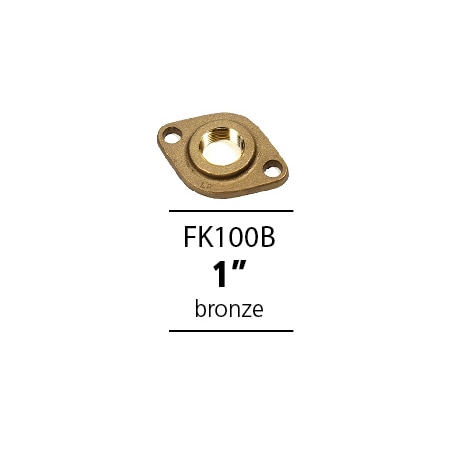 Aquamotion 1" Brass/Bronze Flange Kit W/ 2 Flanges, 2 Gaskets, 4 Screws, 4 Bolts FK100B